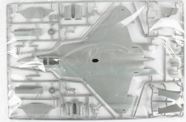 ABD Hava Kuvvetleri F-22 Savaş Uçağı