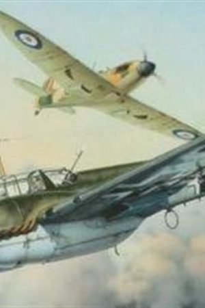 Eduard 8201 1/48 Ölçek