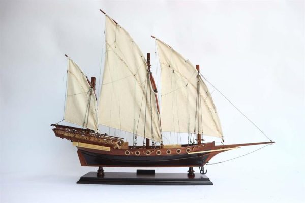 Gianhien Fb0019W60 Xebec Osmanlı Donanması - Görsel 4