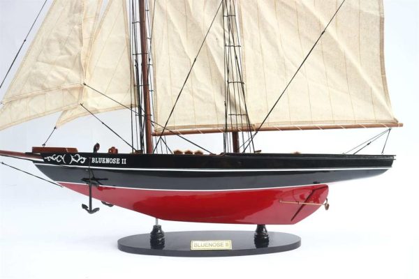 Gianhien Yt0006P60 Bluenose - Görsel 3