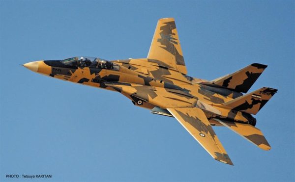 F-14A Tomcat (Limited Edition)