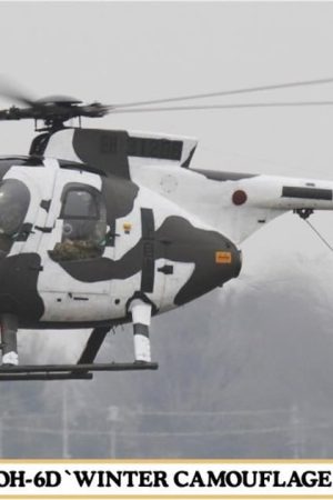 Hasegawa 7460 1/48 Ölçek