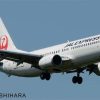 Boeing 737-800 JAL