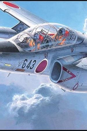Hasegawa D12 1442 1/72 Ölçek
