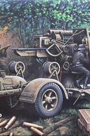 Hasegawa MT38 31138 1/72 Ölçek