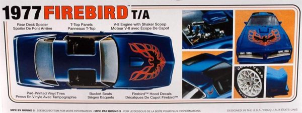 1977 Pontiac Firebird T/A Araba