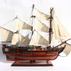 Gianhien Ts0020W60 Hms Bounty - Görsel 5