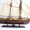 Gianhien Ts0026W Harvey - Görsel 4