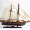 Gianhien Ts0026W Harvey - Görsel 3