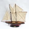Gianhien Yt0006P60 Bluenose - Görsel 2