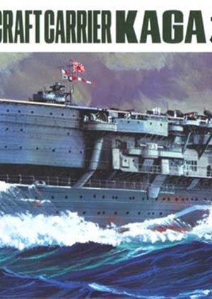 Hasegawa 202 49202 1/700 Ölçek