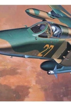 Hasegawa C10 340 1/72 Ölçek