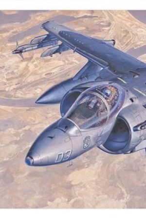 Hasegawa D19 449 1/72 Ölçek