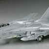 F-14A Tomcat (Low Visibility)