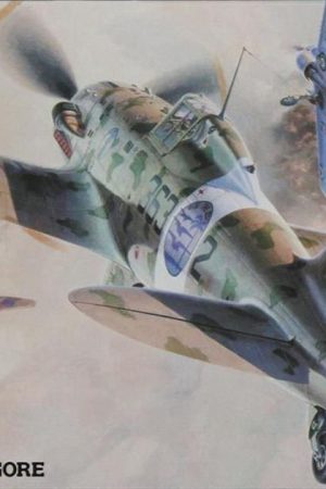 Hasegawa JT32 9132 1/48 Ölçek