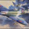 Hasegawa JT79 9079 1/48 Ölçek