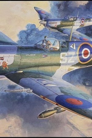 Hasegawa JT79 9079 1/48 Ölçek
