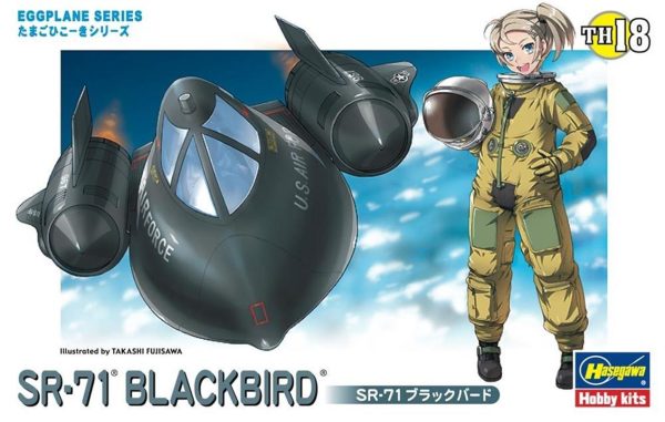 Hasegawa TH18 60128 SR-71 Blackbird