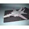 F-14D Super Tomcat