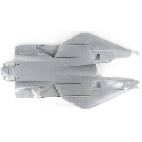 F-14A TomCat - IRIAF (Persian Cat)