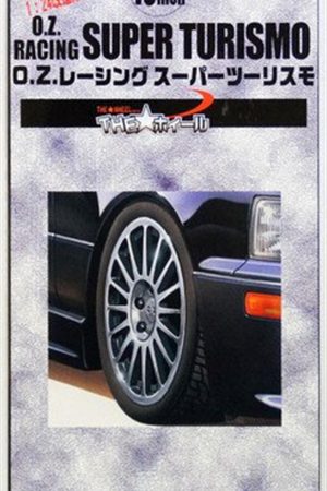 WHEEL-41 1/24 18 İNCHİ BBS RG  WHEEL