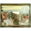 Domenech 3510 Galiçya Tipik Kırsal Evi, 15x15x13 Cm. Taş Maketi - Görsel 3